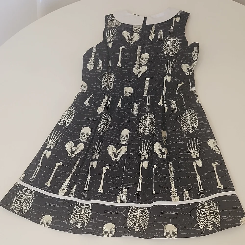 Modcloth Rad To The Bone Retro A-line Dress - Picture 9 of 10